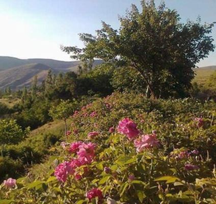 İranın Şərqi Azərbaycan Vilayətinin Dağlarının Qoynunda Yerləşən Möhtəşəm və Tarixi Məcarşin Kəndi