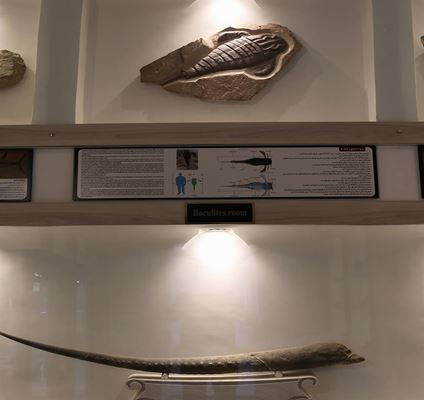 Yəzd Kambərin muzeyi, 150 milyon il əvvəlki dənizlərin dərinliklərində səyahət