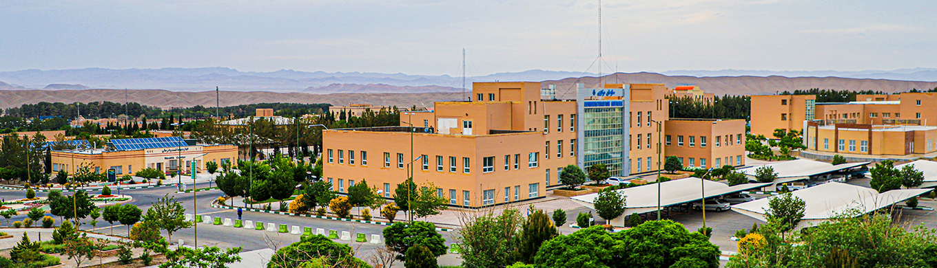 Şərqi İranın elm və təhsil mərkəzi olan Bircənd Universiteti