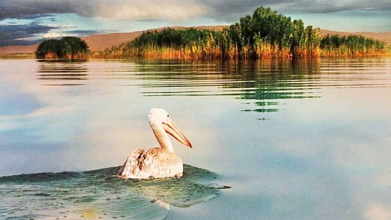 Ərəcən və Pərişan Biosfer Qoruğu – İranın ən qədim biosfer qoruğu