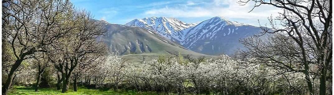 Sərabda İstirahət və Təbiət Turizmi ilə Təbiətlə Birlikdə Yaşamaq Həzzi