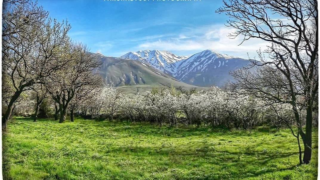 Sərabda İstirahət və Təbiət Turizmi ilə Təbiətlə Birlikdə Yaşamaq Həzzi