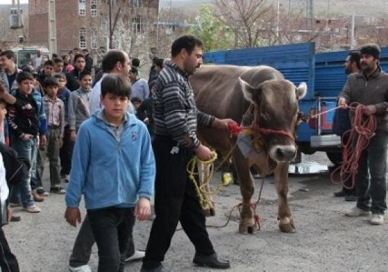 Baharın otuz altıncı günü Əsfincan xalqı üçün xüsusi bir gündür.