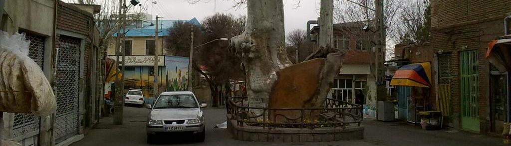 Təbiət Turizmi və Şərqi Azərbaycan Əyalətinin Ən Qoca Çinar Ağacları